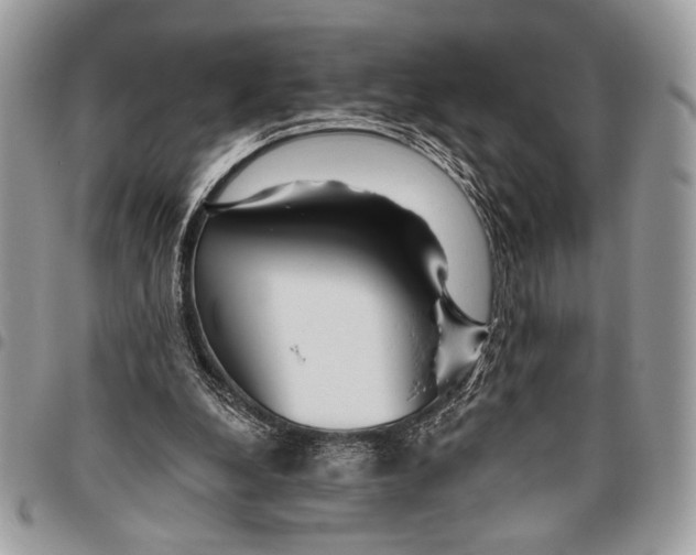 X0000095880248200802081101