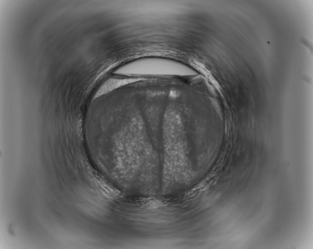 X0000095880249200802081101