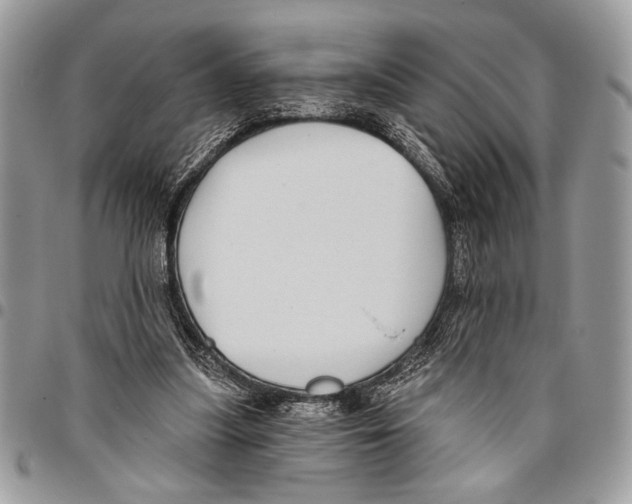 X0000095880251200802081101