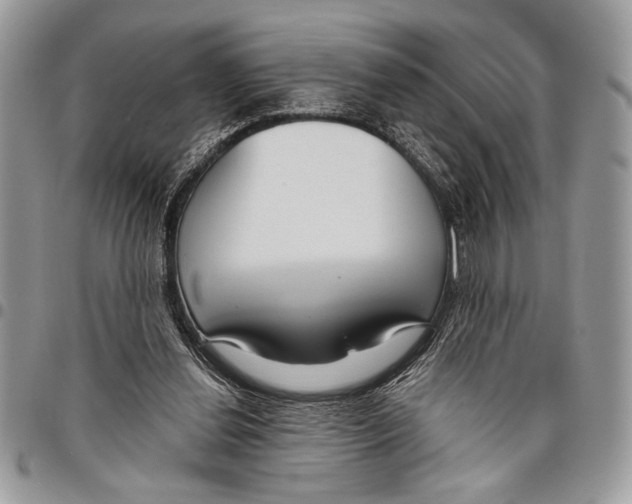 X0000095880252200802081101