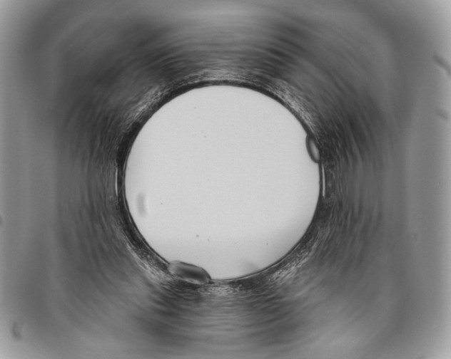 X0000095880253200802081102