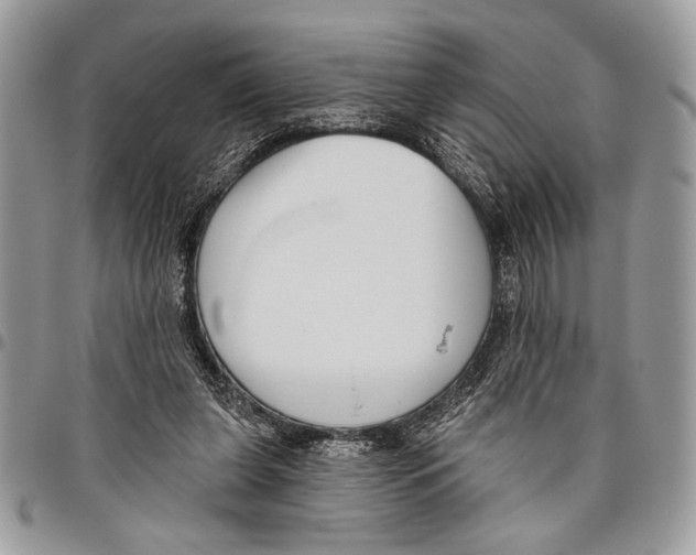 X0000095880255200802081102