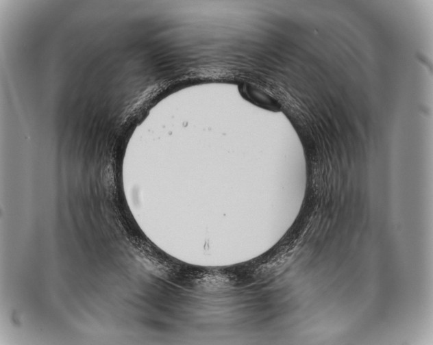 X0000095880256200802081102