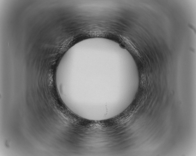 X0000095880259200802081102