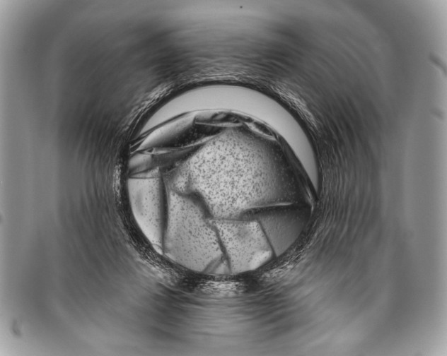 X0000095880260200802081102