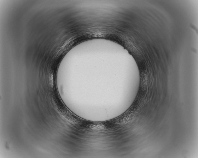 X0000095880262200802081102