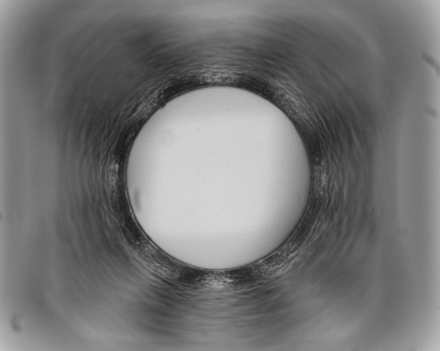 X0000095880263200802081102