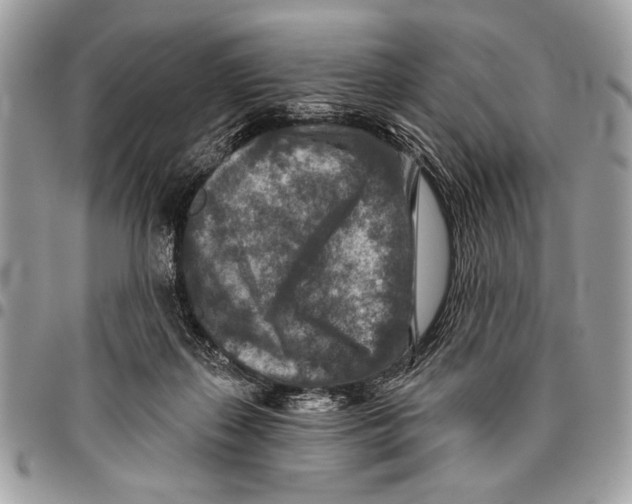 X0000095880267200802081102