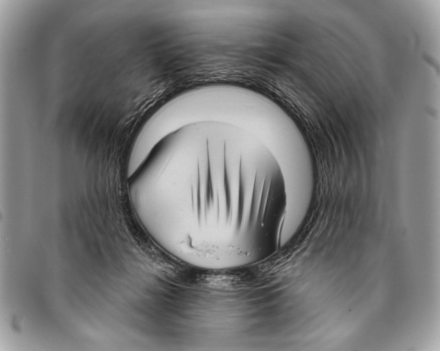 X0000095880268200802081102