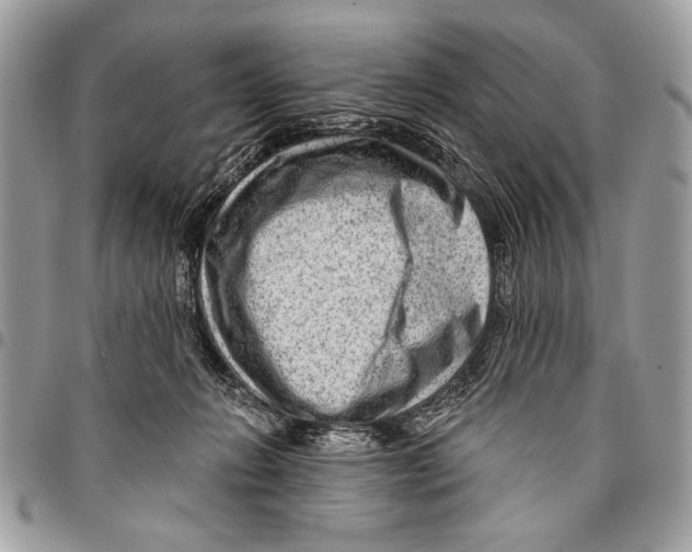 X0000095880270200802081102