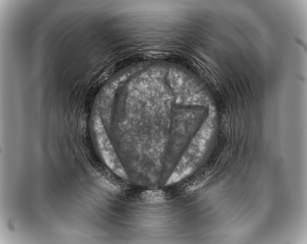 X0000095880271200802081102