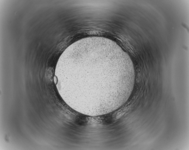 X0000095880273200802081102