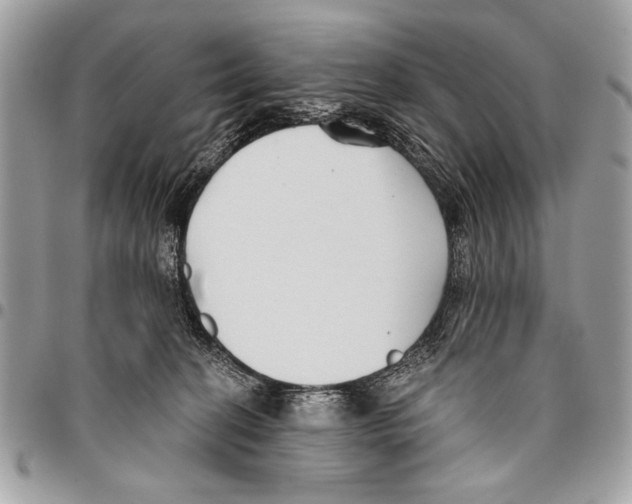 X0000095880274200802081102