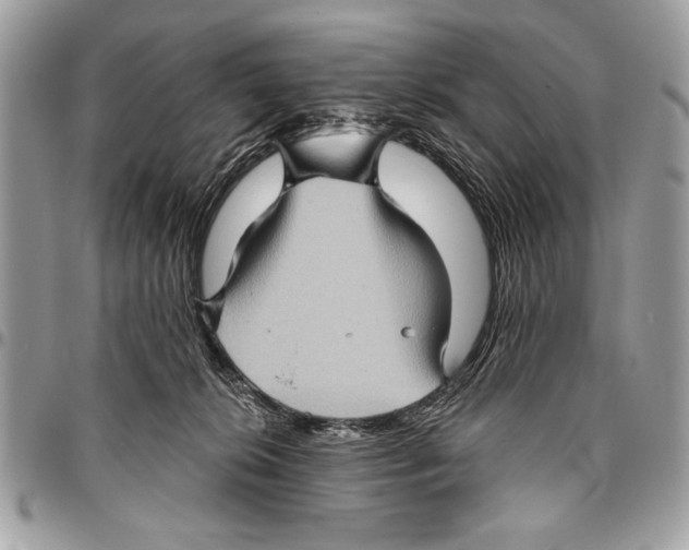 X0000095880276200802081102