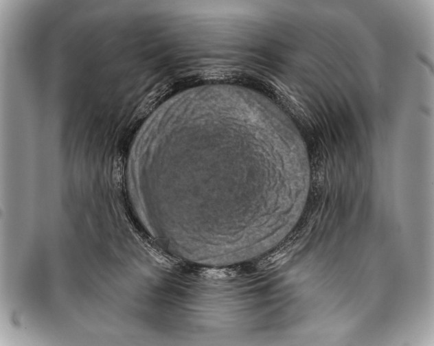 X0000095880277200802081102