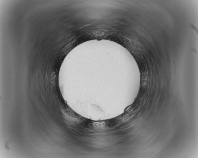 X0000095880279200802081102