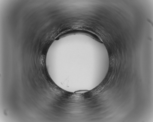 X0000095880280200802081102