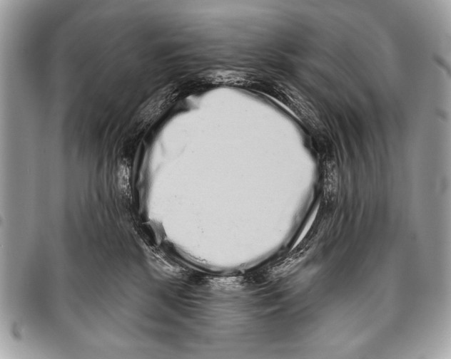 X0000095880281200802081102