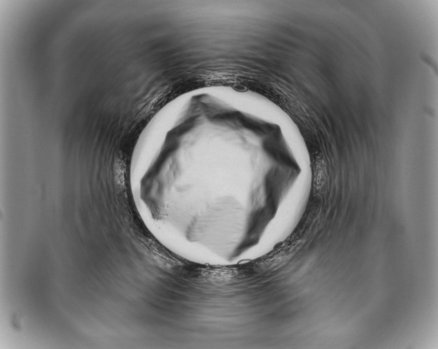 X0000095880282200802081102