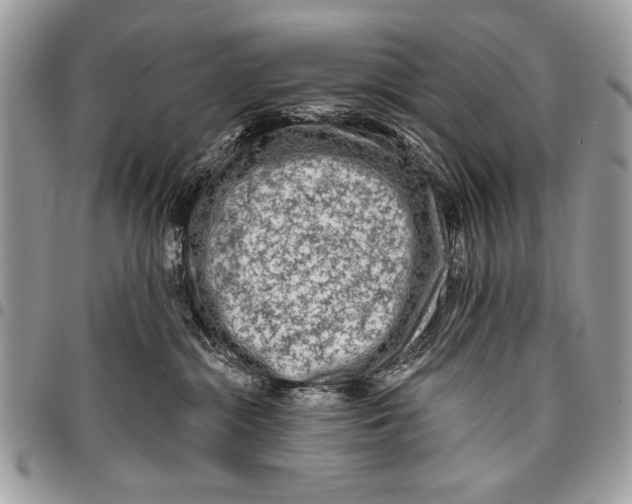 X0000095880284200802081102