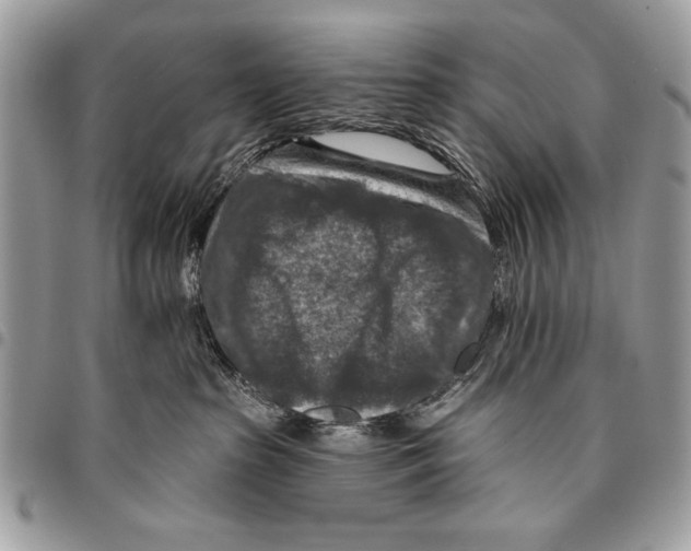 X0000095880285200802081102