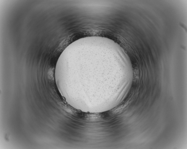 X0000095880286200802081102