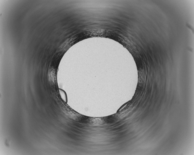 X0000095880287200802081102