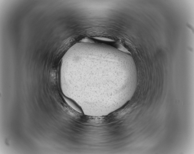 X0000095880288200802081102