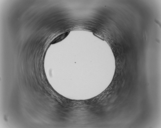 X0000095880289200802081101