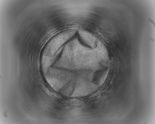 X0000095880290200802081101