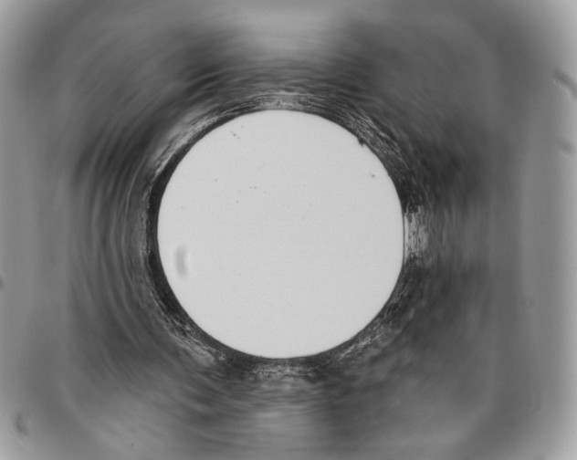 X0000095880291200802081101