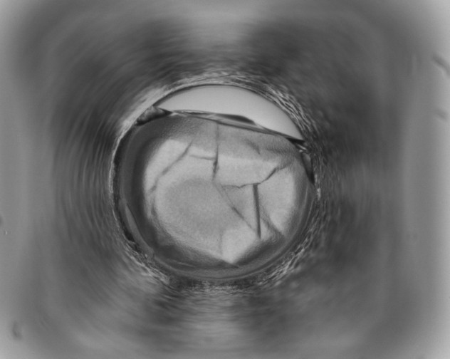 X0000095880292200802081101