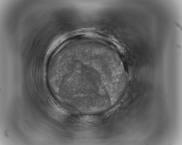 X0000095880293200802081101