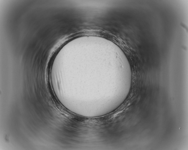 X0000095880294200802081101