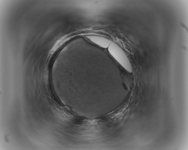 X0000095880295200802081101