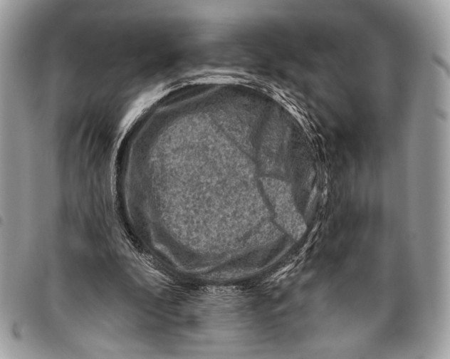 X0000095880296200802081101