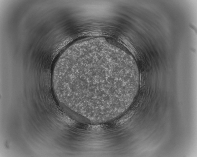 X0000095880301200802081101