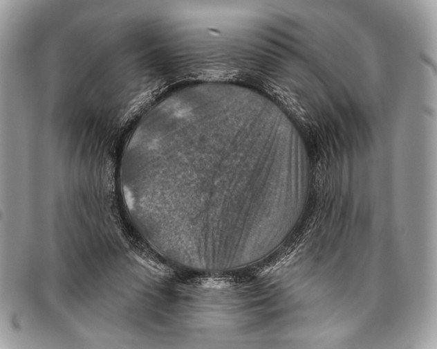 X0000095880303200802081101