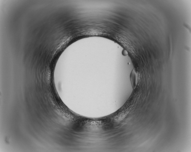 X0000095880304200802081101