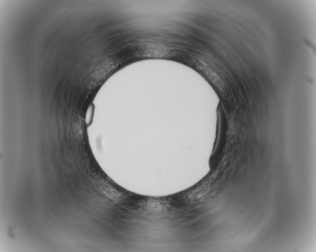 X0000095880305200802081101