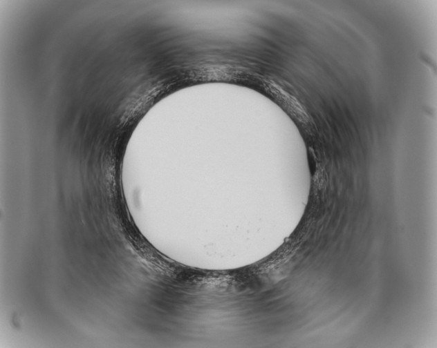 X0000095880306200802081101