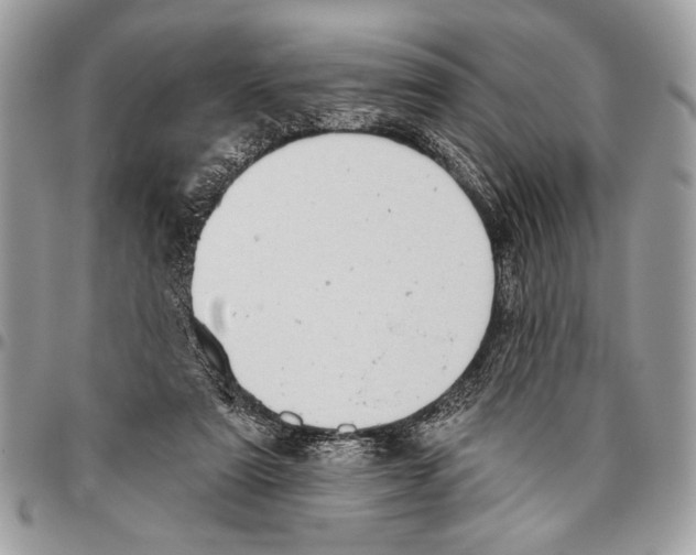 X0000095880307200802081101