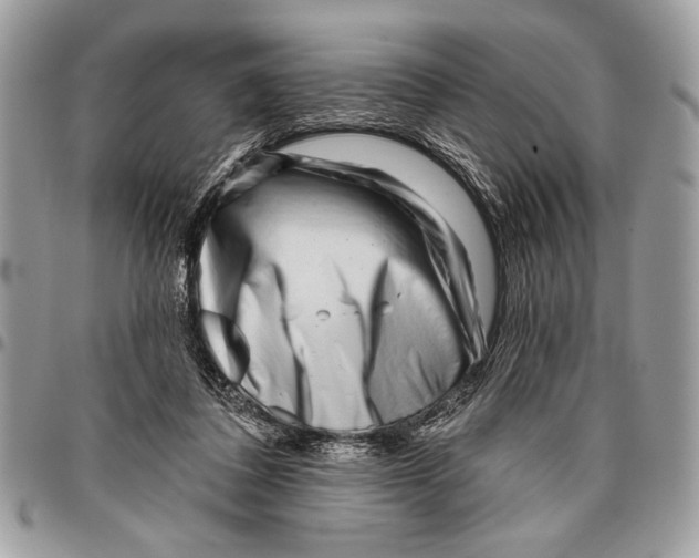 X0000095880308200802081101