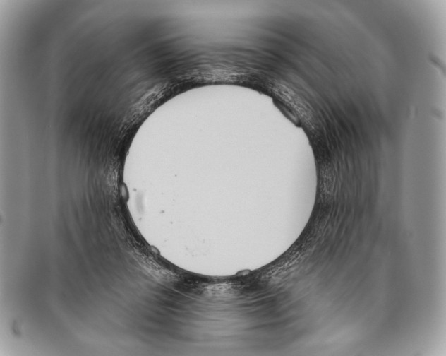 X0000095880309200802081101