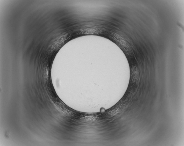 X0000095880310200802081101