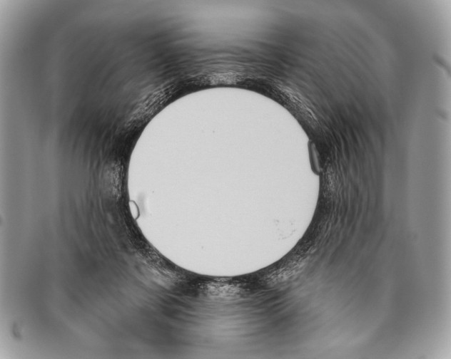 X0000095880311200802081101