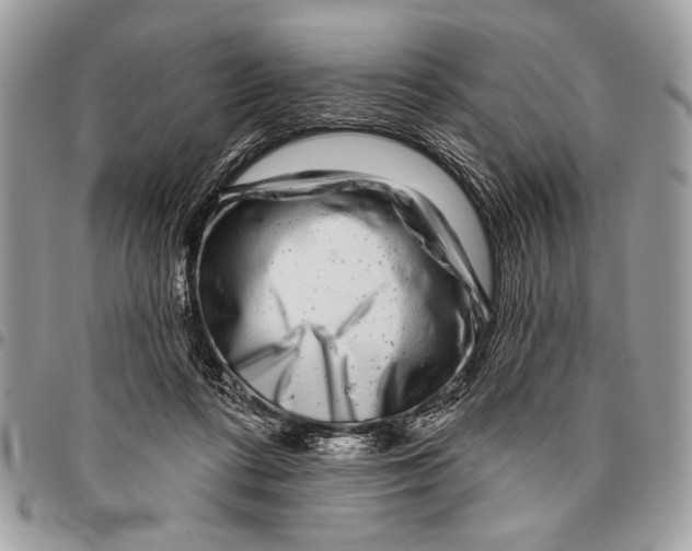 X0000095880312200802081101