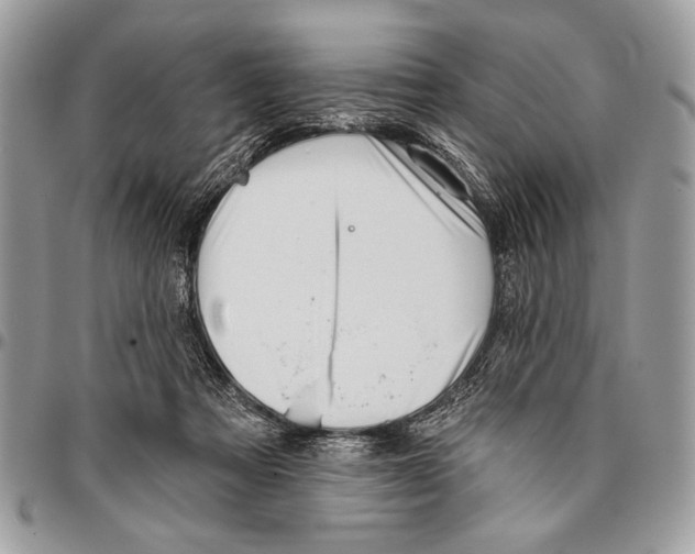 X0000095880313200802081101