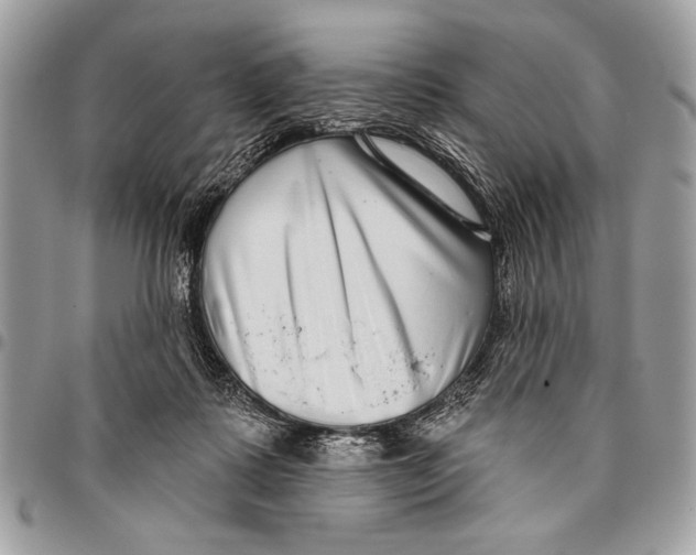 X0000095880315200802081101