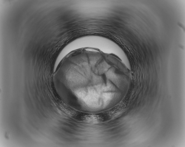 X0000095880316200802081101